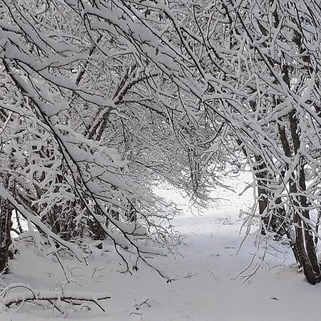 Апартаменты La Belle Vue Сен-Клод Экстерьер фото